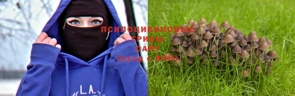 mdma Зеленодольск