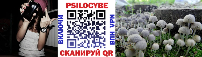 Галлюциногенные грибы Psilocybine cubensis  Купить закладки  Задонск 